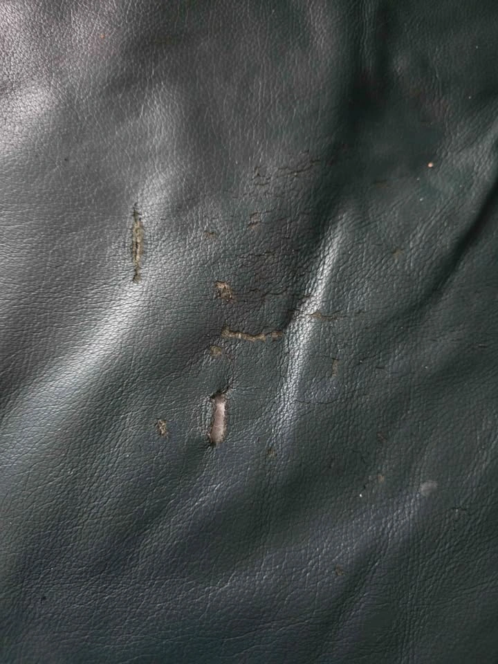 Green Leather Couch + Love seat set - photo 3