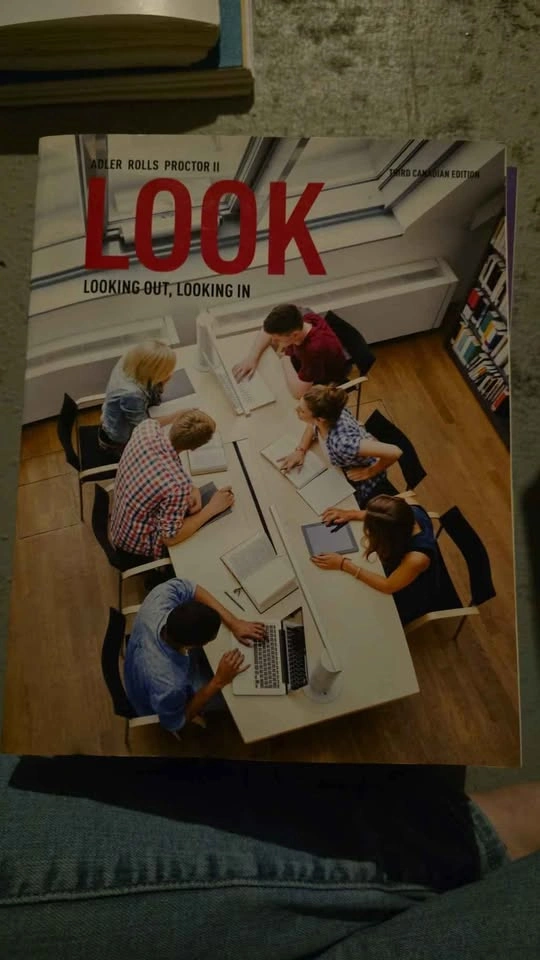 Look- Looking Out, Looking In