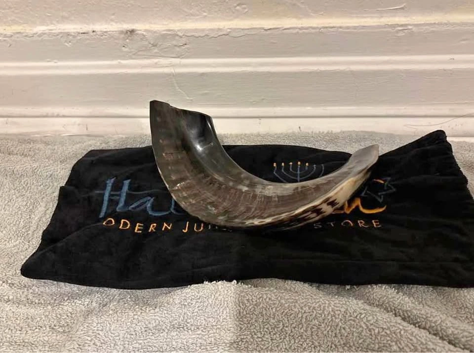 Small shofar ram horn ( cash only )