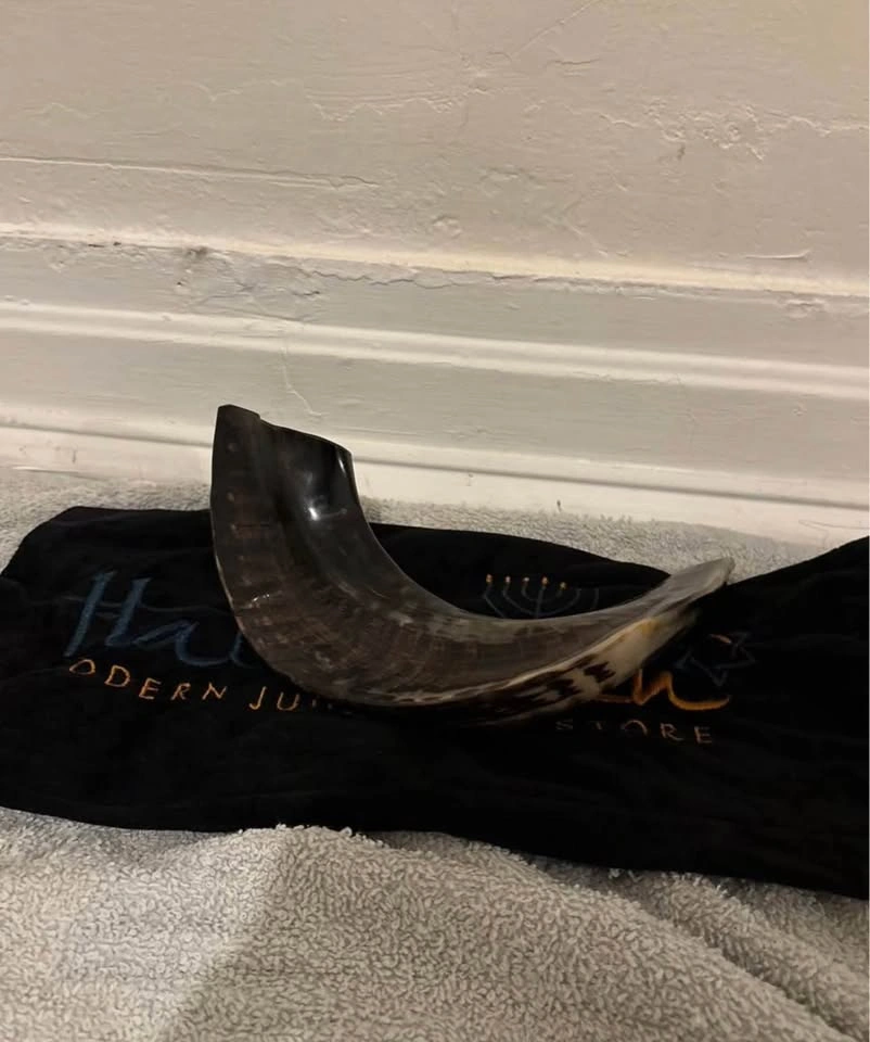 Small shofar ram horn ( cash only ) - photo 2