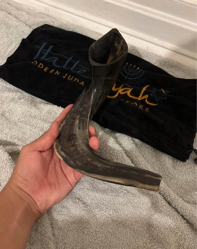 Small shofar ram horn ( cash only ) - photo 3