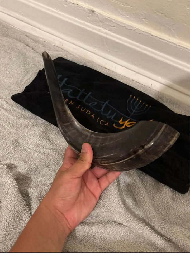 Small shofar ram horn ( cash only ) - photo 4