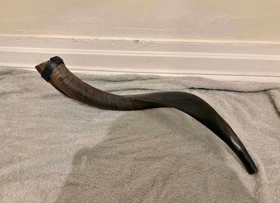 Shofar ( cash only )
