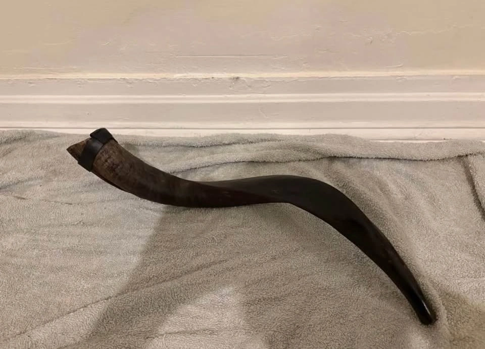 Shofar ( cash only ) - photo 2