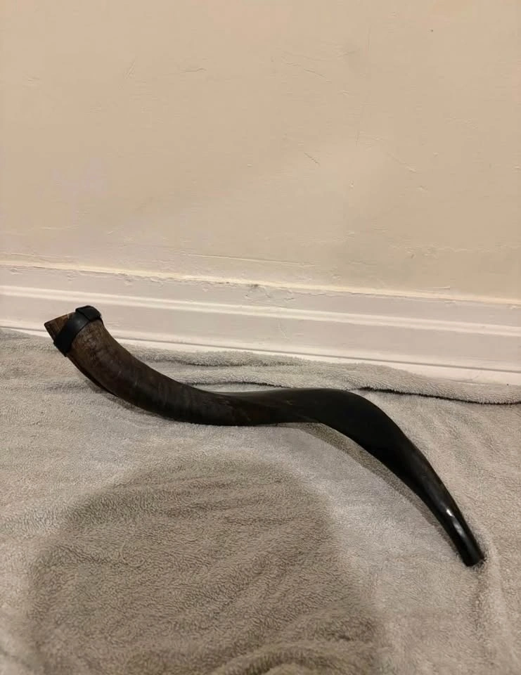 Shofar ( cash only ) - photo 3