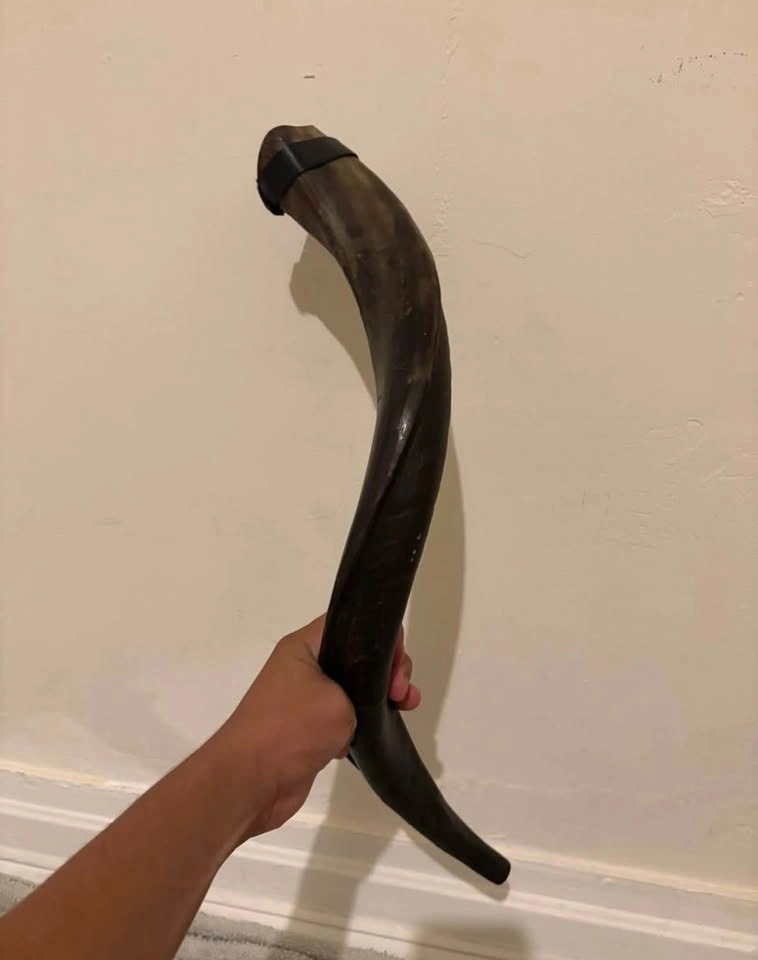 Shofar ( cash only ) - photo 4