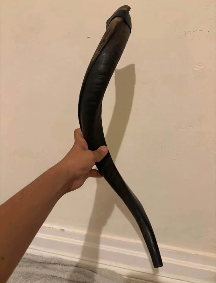 Shofar ( cash only ) - photo 5