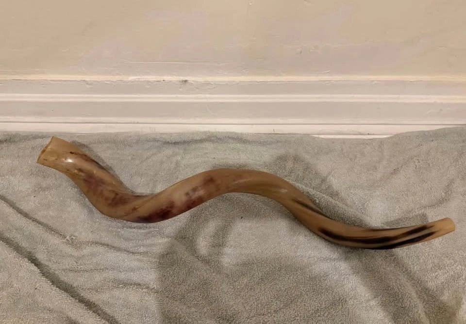Yemenite Kudu Shofar ( cash only ) - photo 2