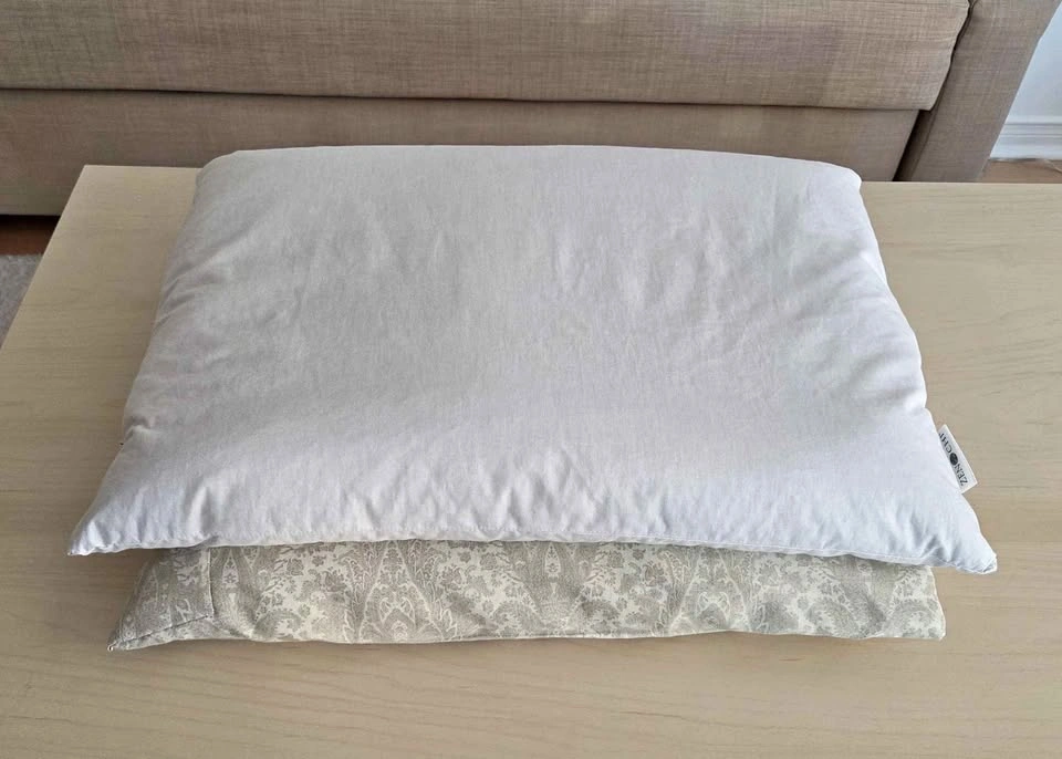 Two Buckwheat Pillows - price is for both