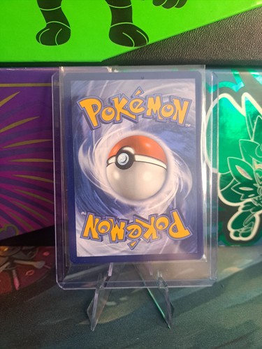 Teal Mask Ogerpon SVP123 - Pokemon Scarlet & Violet Promo NM - photo 2