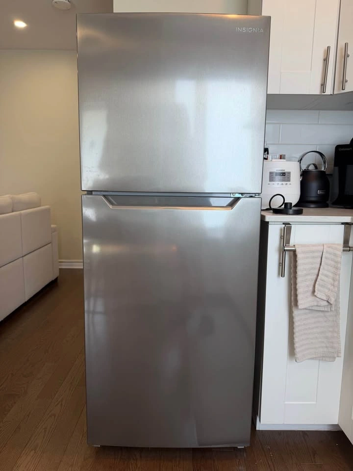 Insignia 10 Cu. Ft. Stainless Steel Top-Freezer Refrigerator