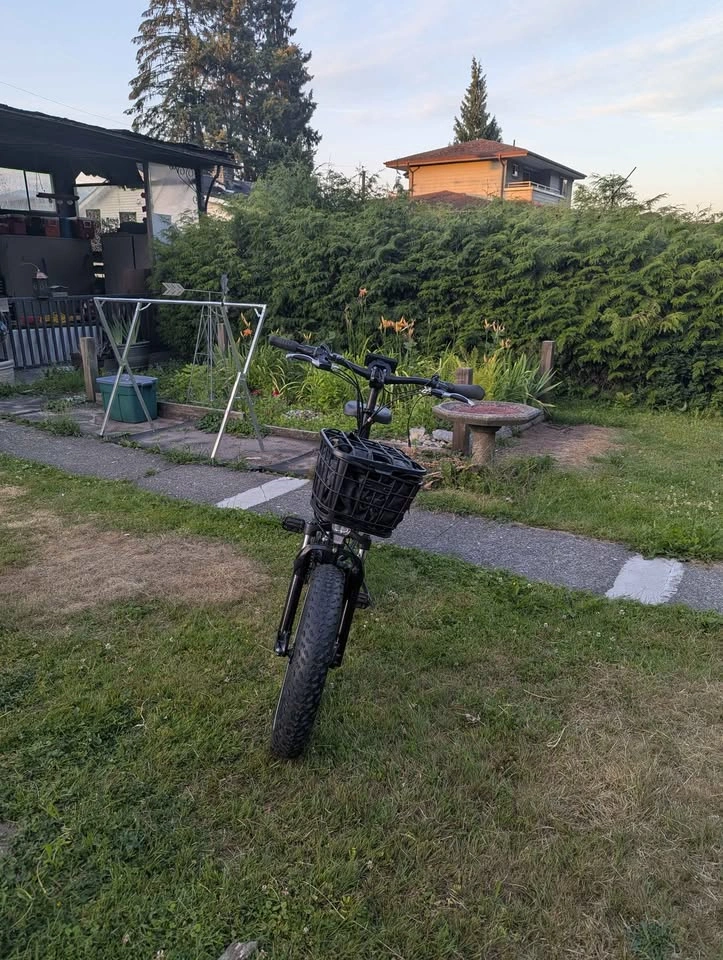 RAD POWER MINI FOLDABLE E BIKE - photo 3