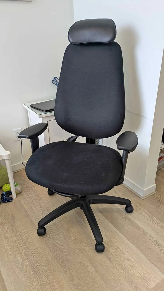 ergoCentric High-Back Ergonomic Office Chair with Headrest