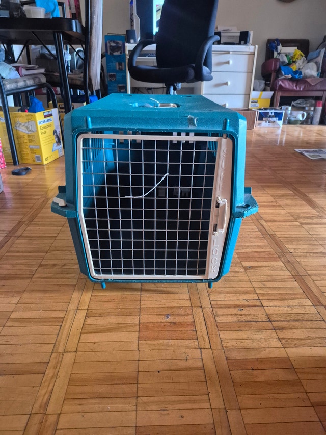 Petmate Pet Taxi Medium 24 x 18 x 18