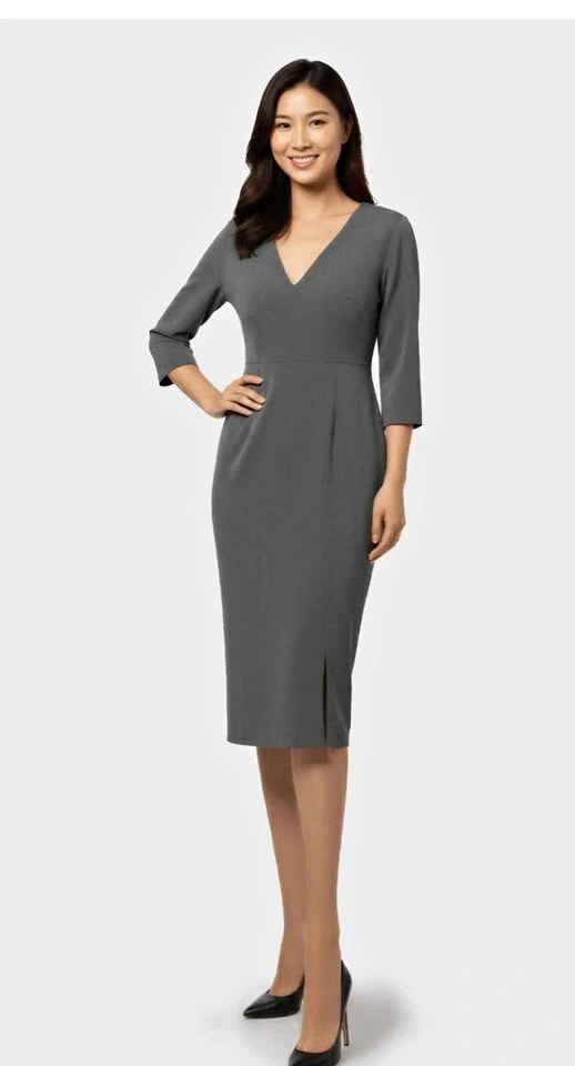 Brand New Formal Bodycon dress