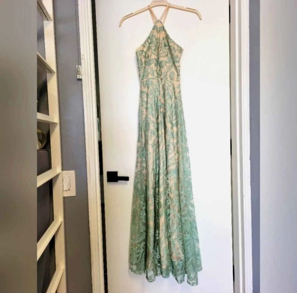 Prom Dress BNWT - photo 3