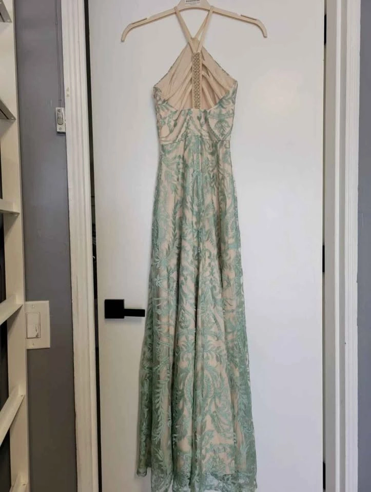 Prom Dress BNWT - photo 4