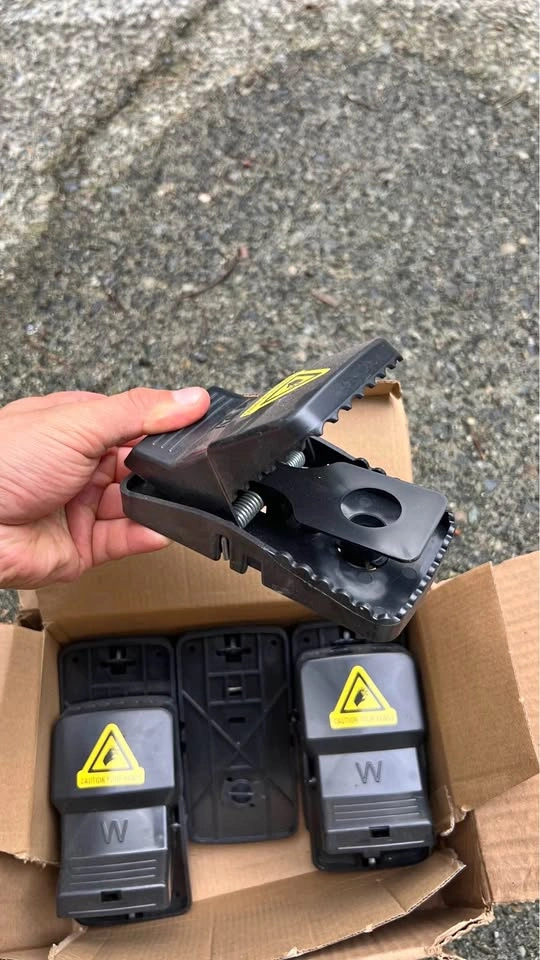 Mouse traps 6 pcs