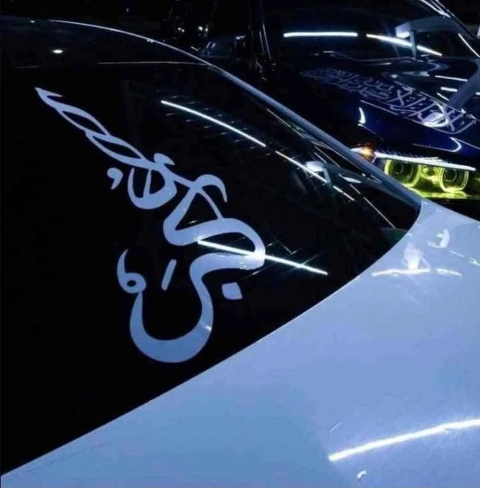 Vinyl Custom Car Decals (READ DESCRIPTION) - photo 4
