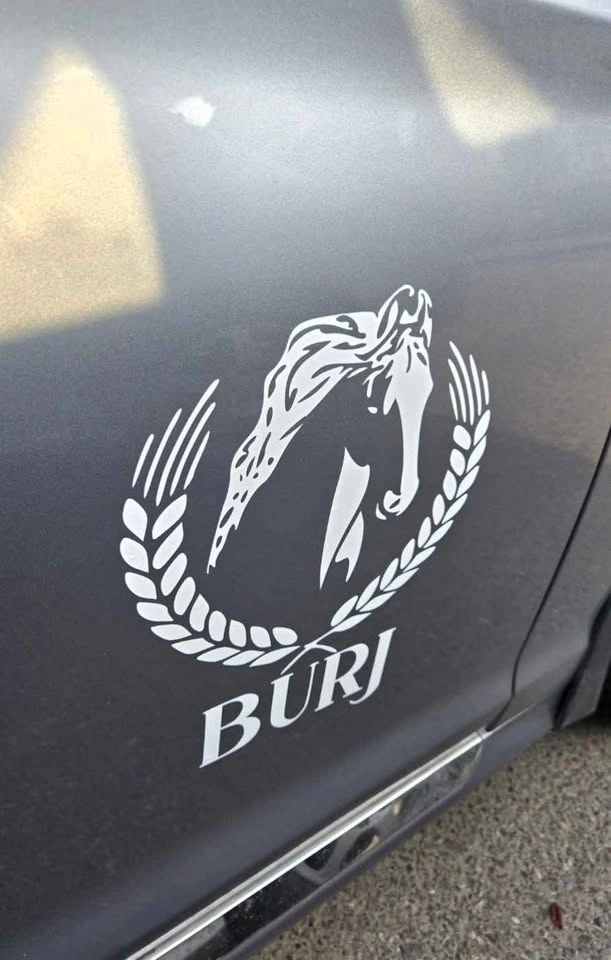 Vinyl Custom Car Decals (READ DESCRIPTION) - photo 5