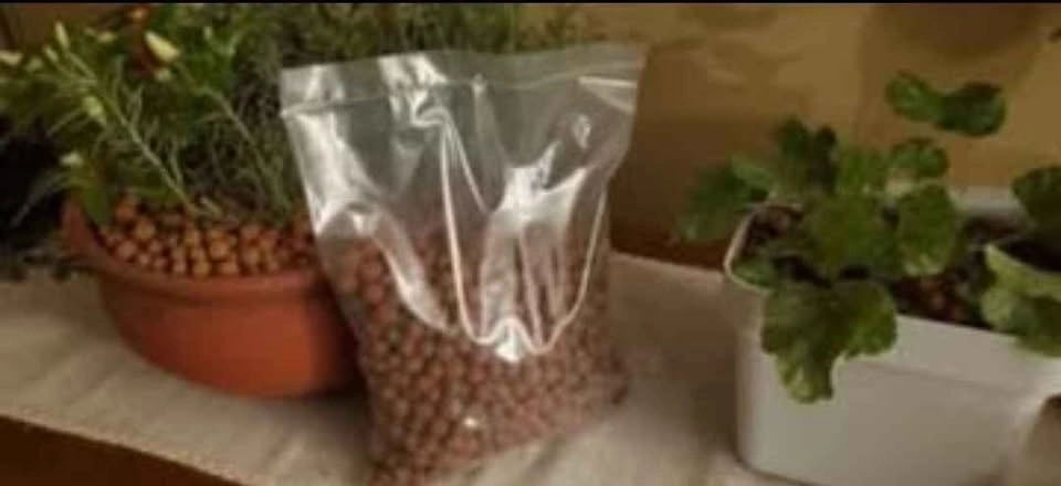 1KG Leca Natural Clay Pebbles - photo 4