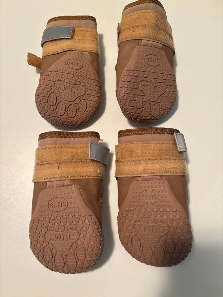 Medium Dog Shoes - photo 2