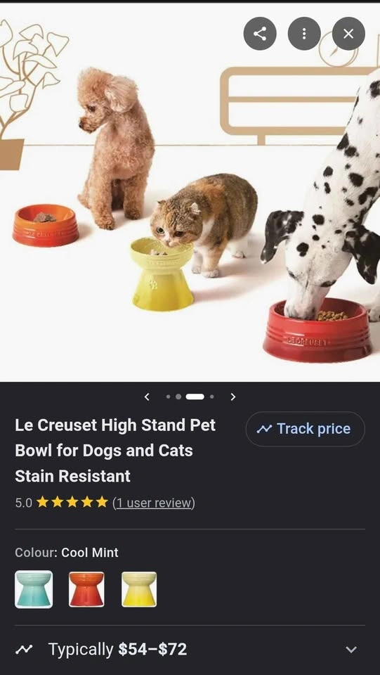 Le Creuset High Stand Pet Bowl - photo 5