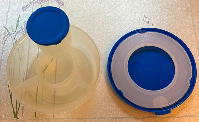 Divided Lunch Container with Ice Pack Avon Wellness For Sale
