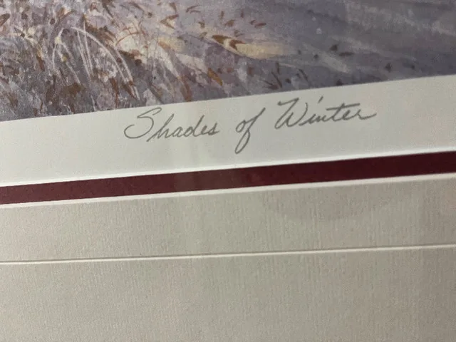 Limited Art Print by Doug Laird Shades of Winter image indicator(3)