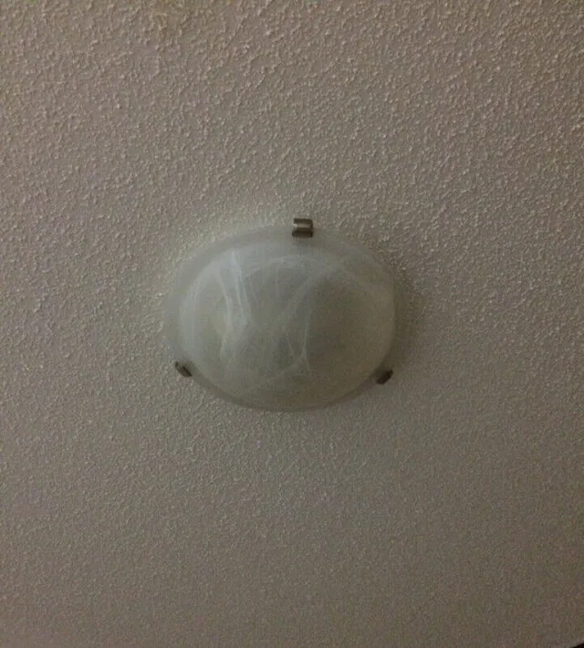 Light Fixture Frosted Glass For Sale thumbnail
