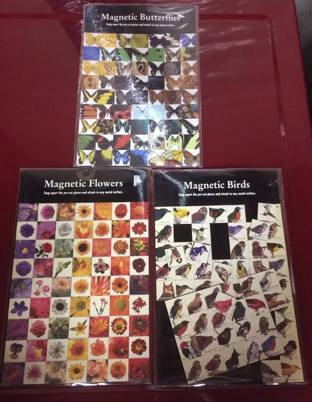 Magnetic Birds, Butterflies, Flowers For Sale - New thumbnail