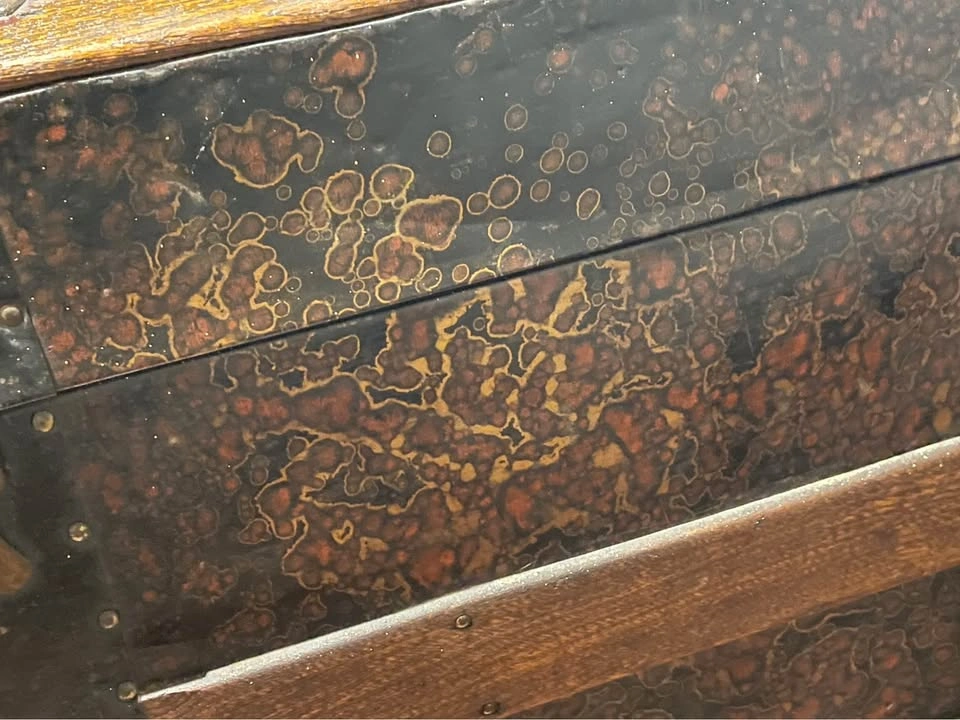 Vintage Dome Top Steamer Trunk - photo 4