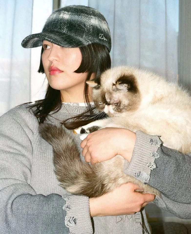 DIME MTL Cat Knit Sweater