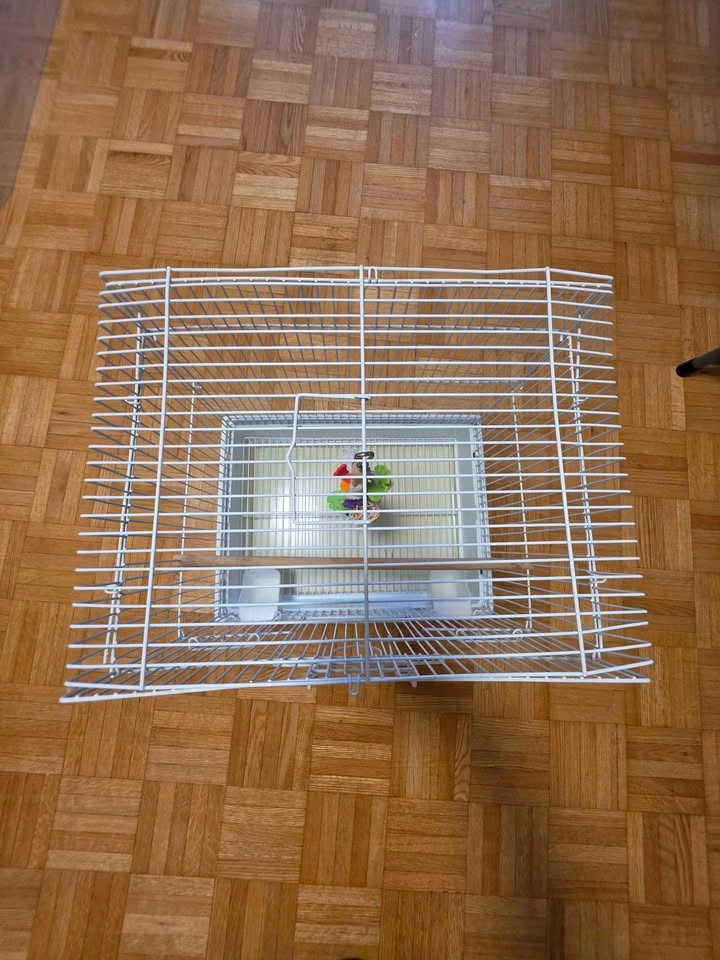 Complete bundle of small bird supplies for budgies, parakeets, o - photo 2