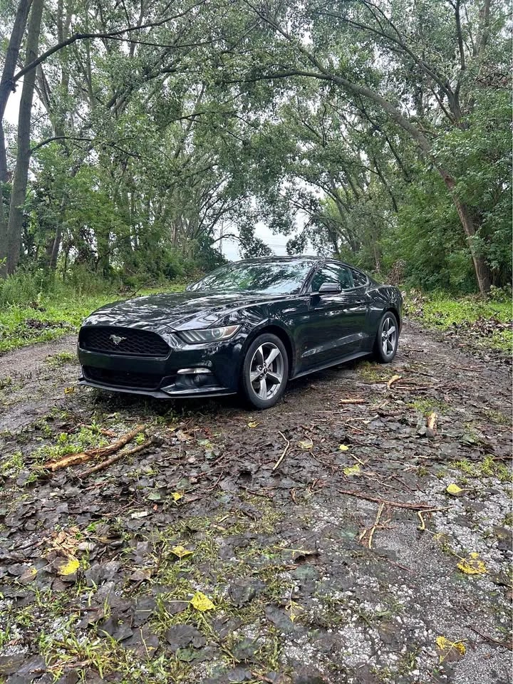 2016 Ford Mustang EcoBoost Fastback Coupe