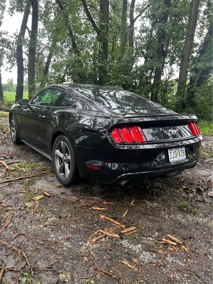 2016 Ford Mustang EcoBoost Fastback Coupe - photo 4