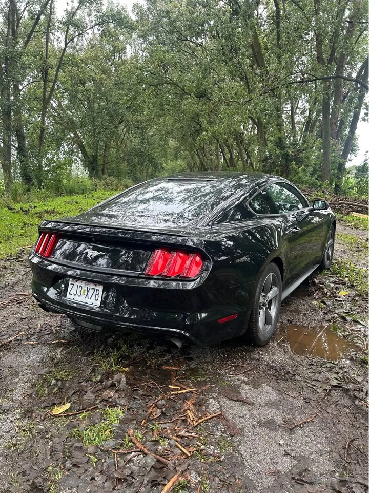 2016 Ford Mustang EcoBoost Fastback Coupe - photo 5
