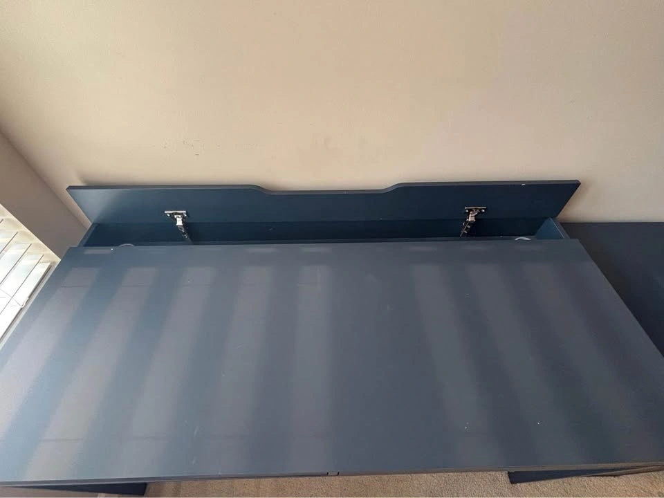 Moving Sale: IKEA Alex Desk + Alex Drawer - photo 4