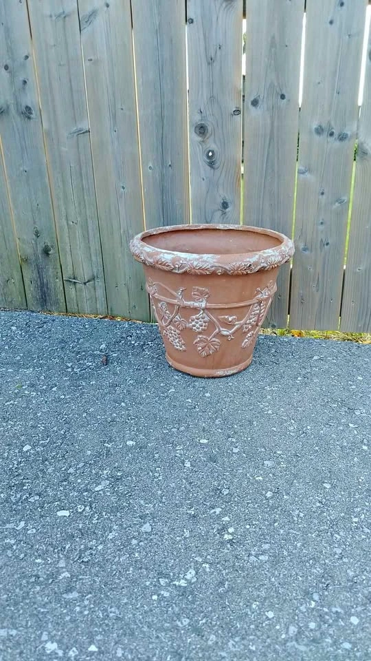 Terracotta Grape Vine Planter