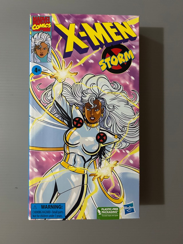 Hasbro Marvel Legends X-Men Animated Series Storm Figure