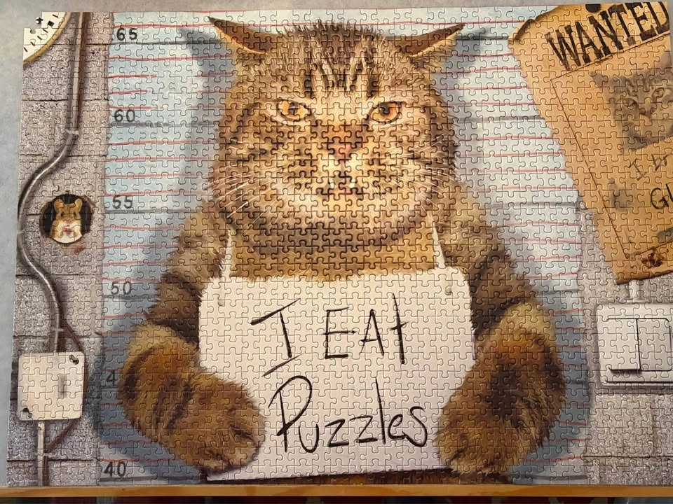 Eurographics Feline Felon 1000 Piece Puzzle - photo 2
