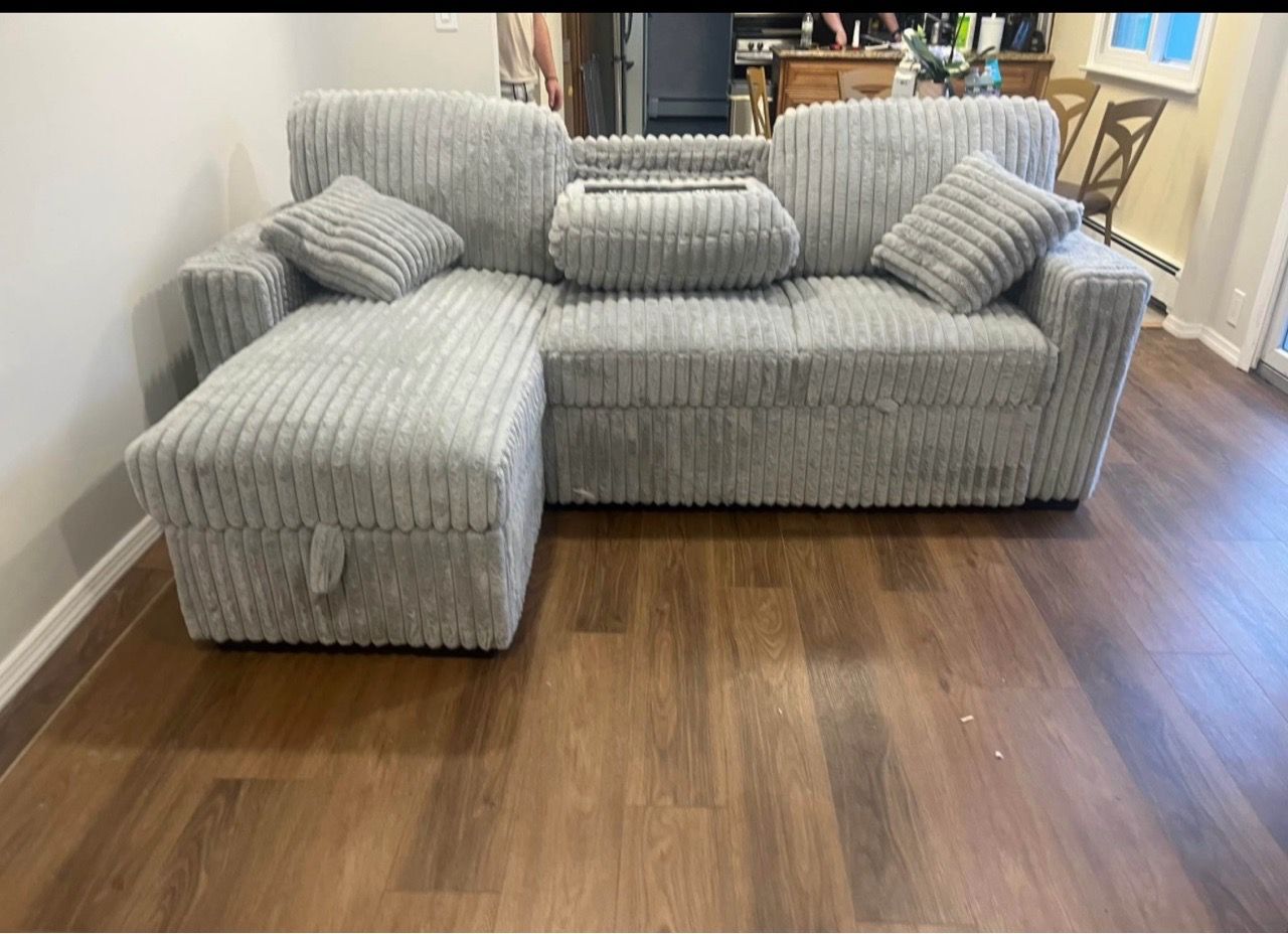 Sleeper Sectional On Sale Now!