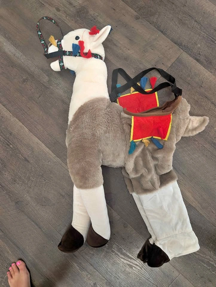 Llama Ride-On Costume
