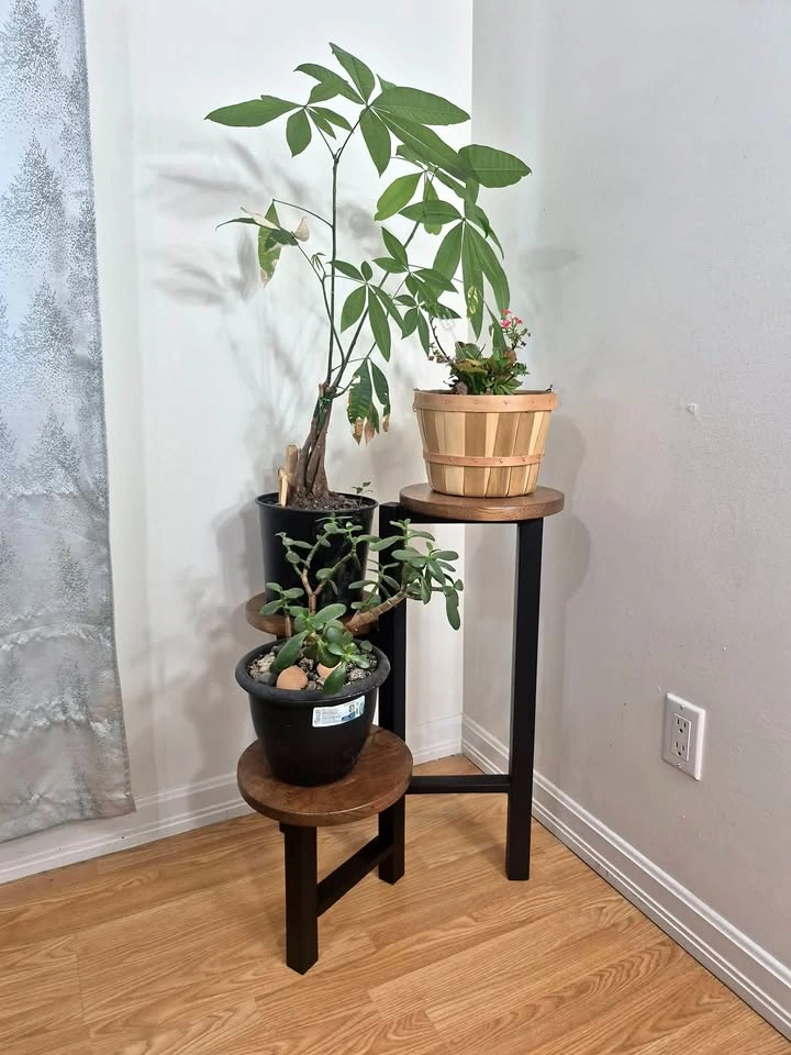 Plant Stand - 3 Tier Solidwood, Modern Rustic, Artisan Made