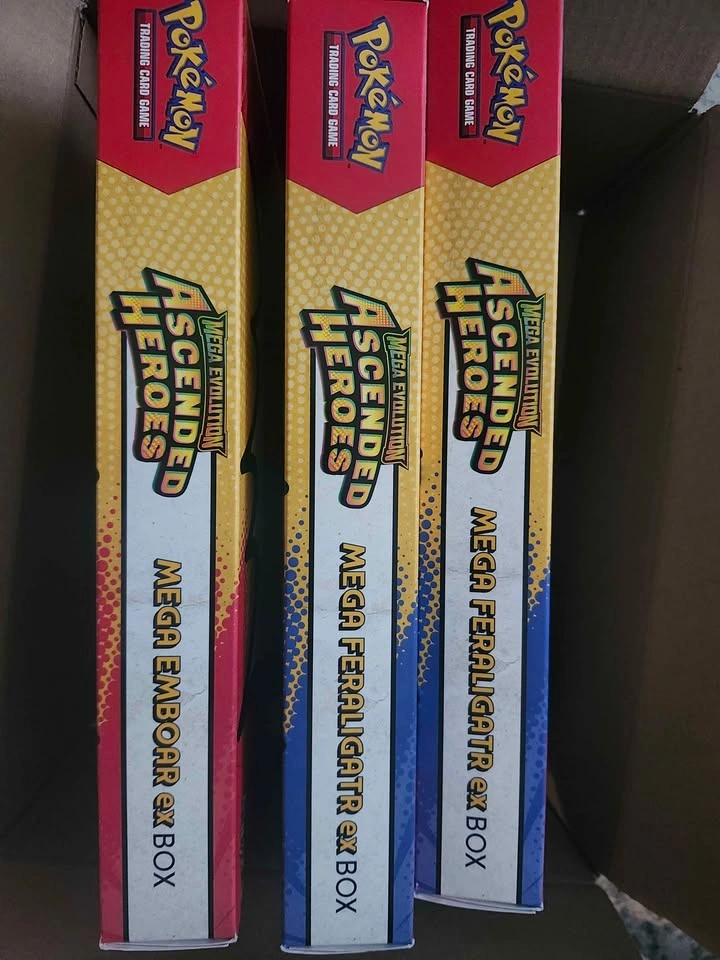 Ascended Heroes Mega EX Boxes - photo 2