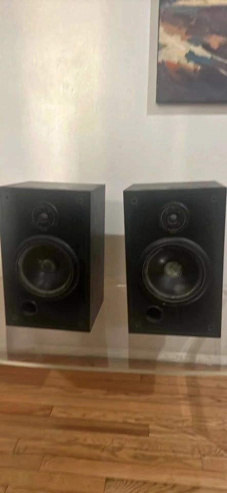 Speakers 18”by11”