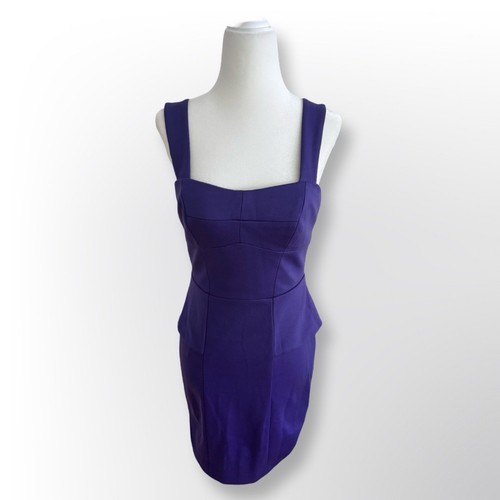New W/Out Tags! Cynthia Steffe Purple Fitted Mini Dress | Size 0