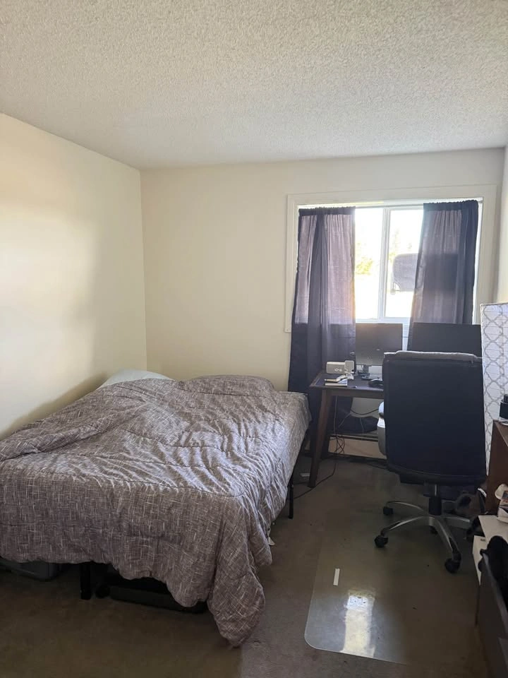 1 Bed 1 Bath - Apartment - photo 3