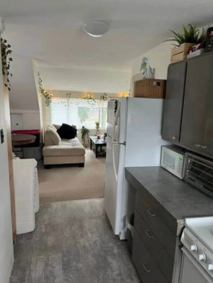1 Bed 1 Bath - Apartment - photo 2