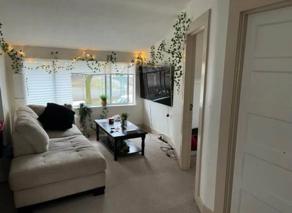 1 Bed 1 Bath - Apartment - photo 4